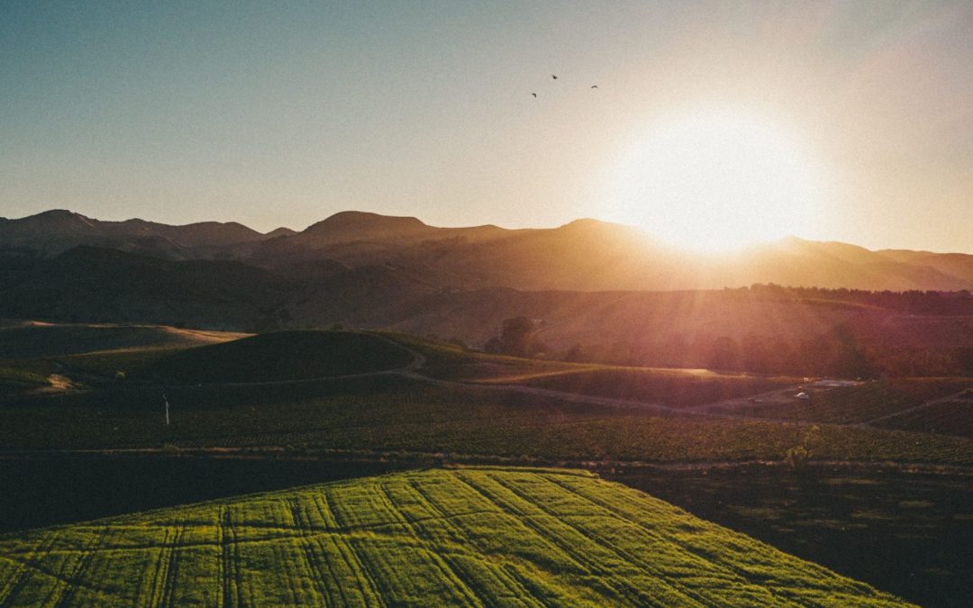 sustainable hemp farming